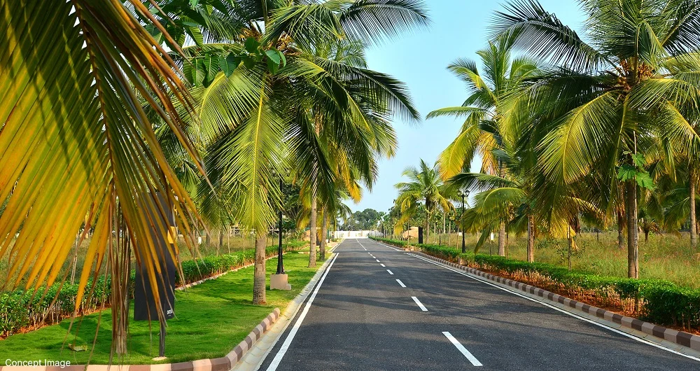 Quick Home Search | Buy & Sell Properties in Bangalore SOBHA Woodpecker Plots In Devanahalli2